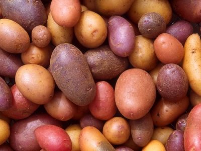 ���������: ������� � ������������